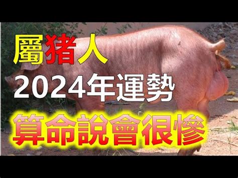 1971豬女|豬女2024年健康警示